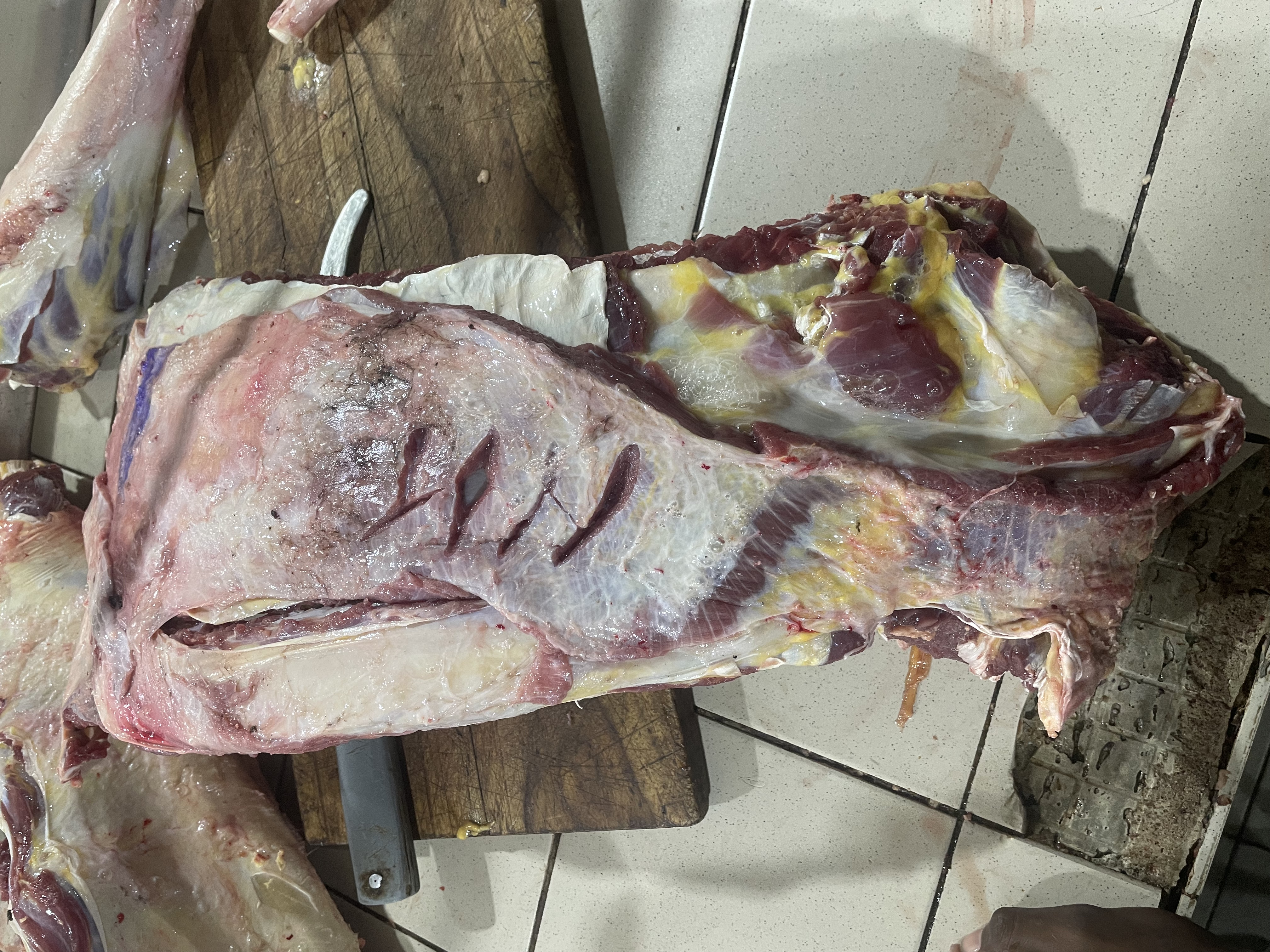 Côtelette de bœuf