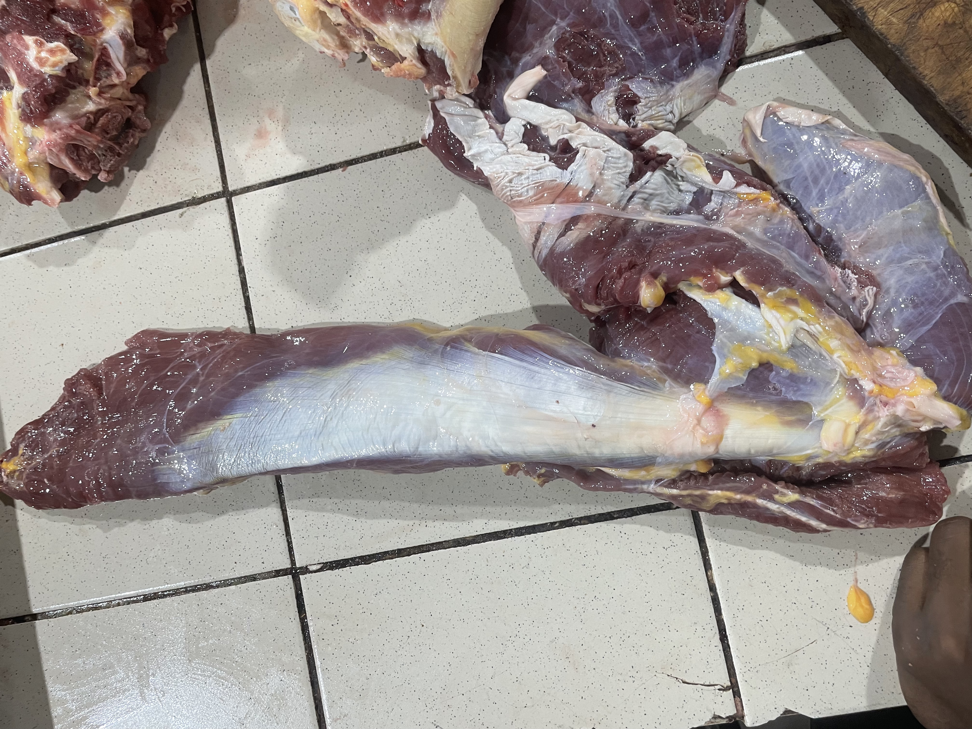 Filet de bœuf