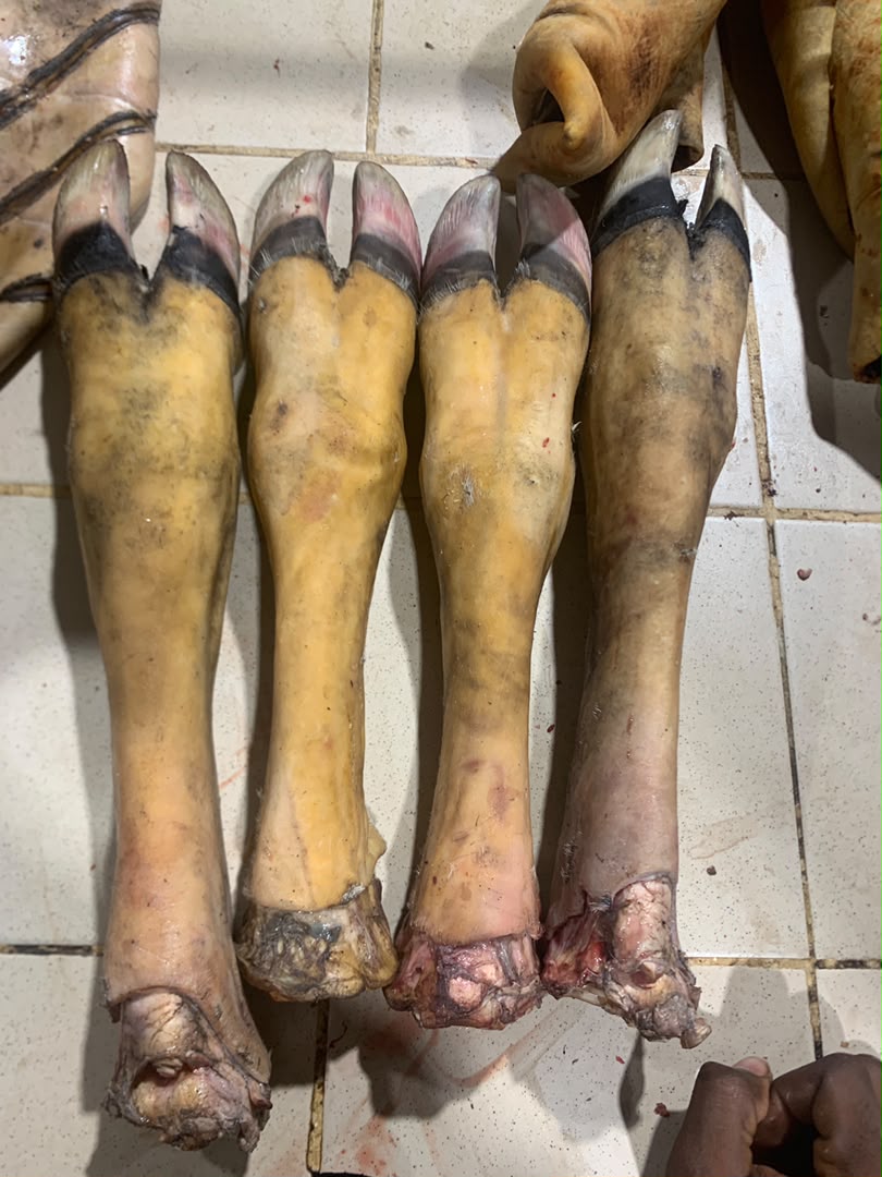 Pattes de bœuf