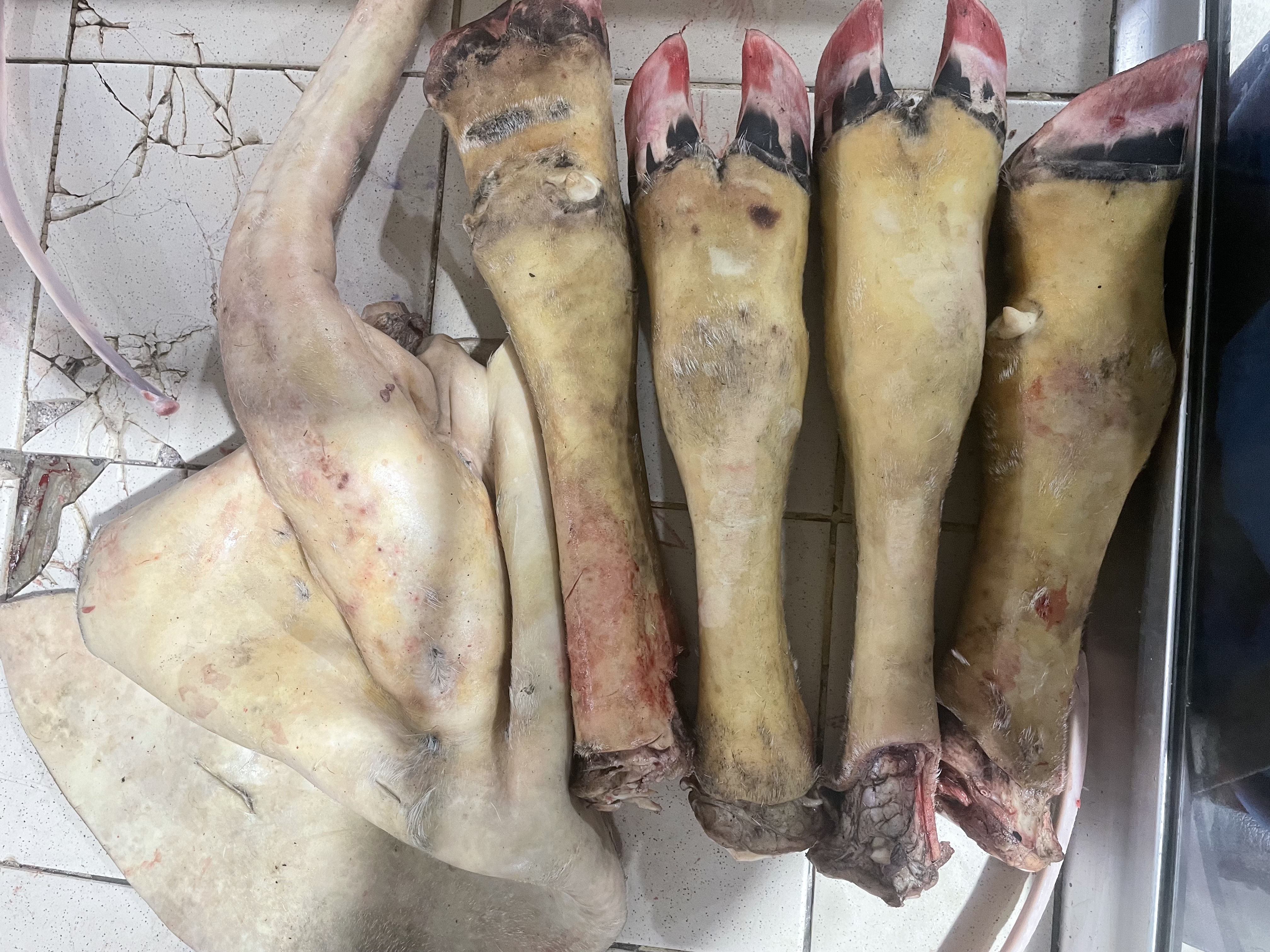 Queue de bœuf