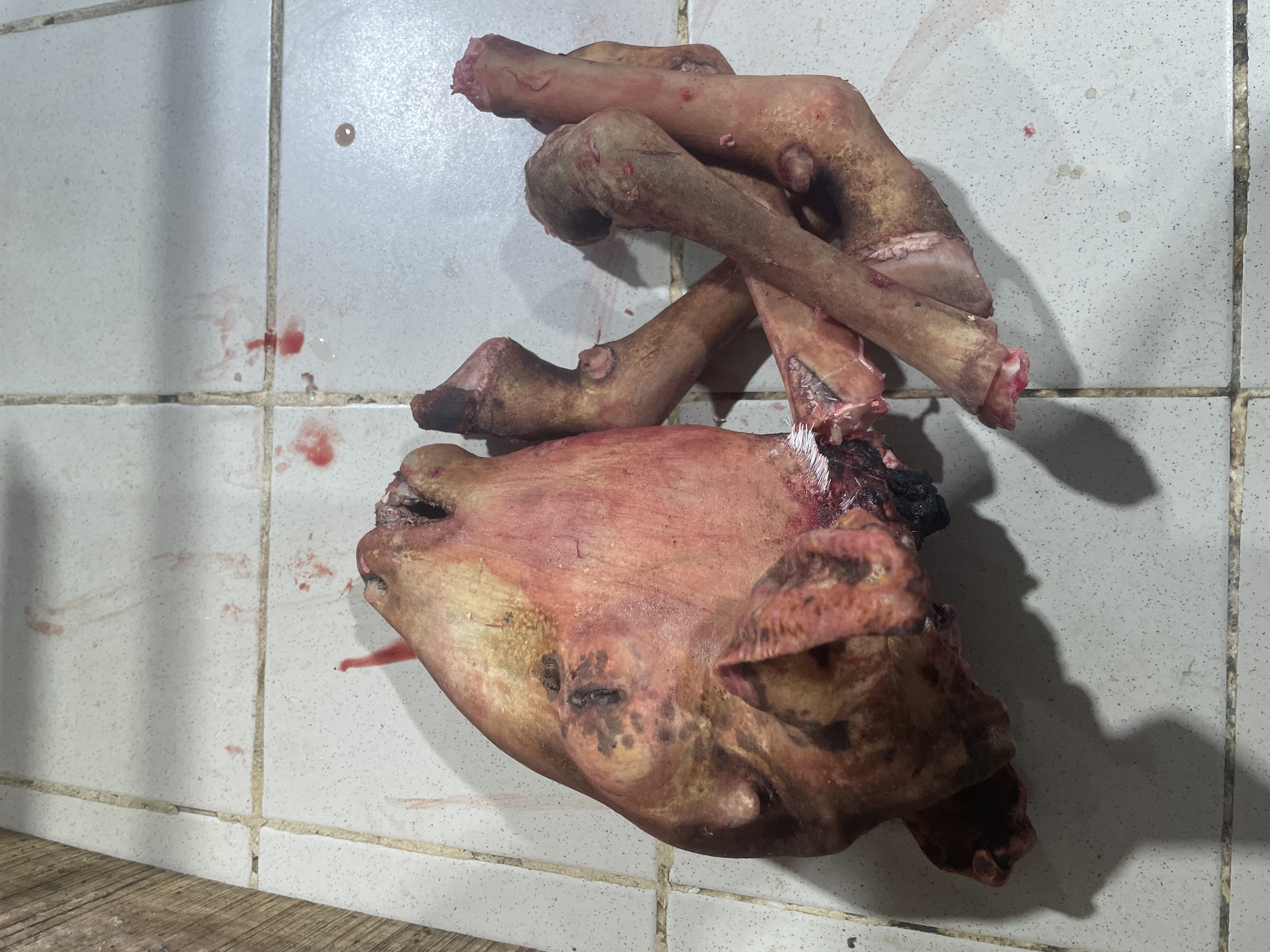 Tête et pieds de mouton