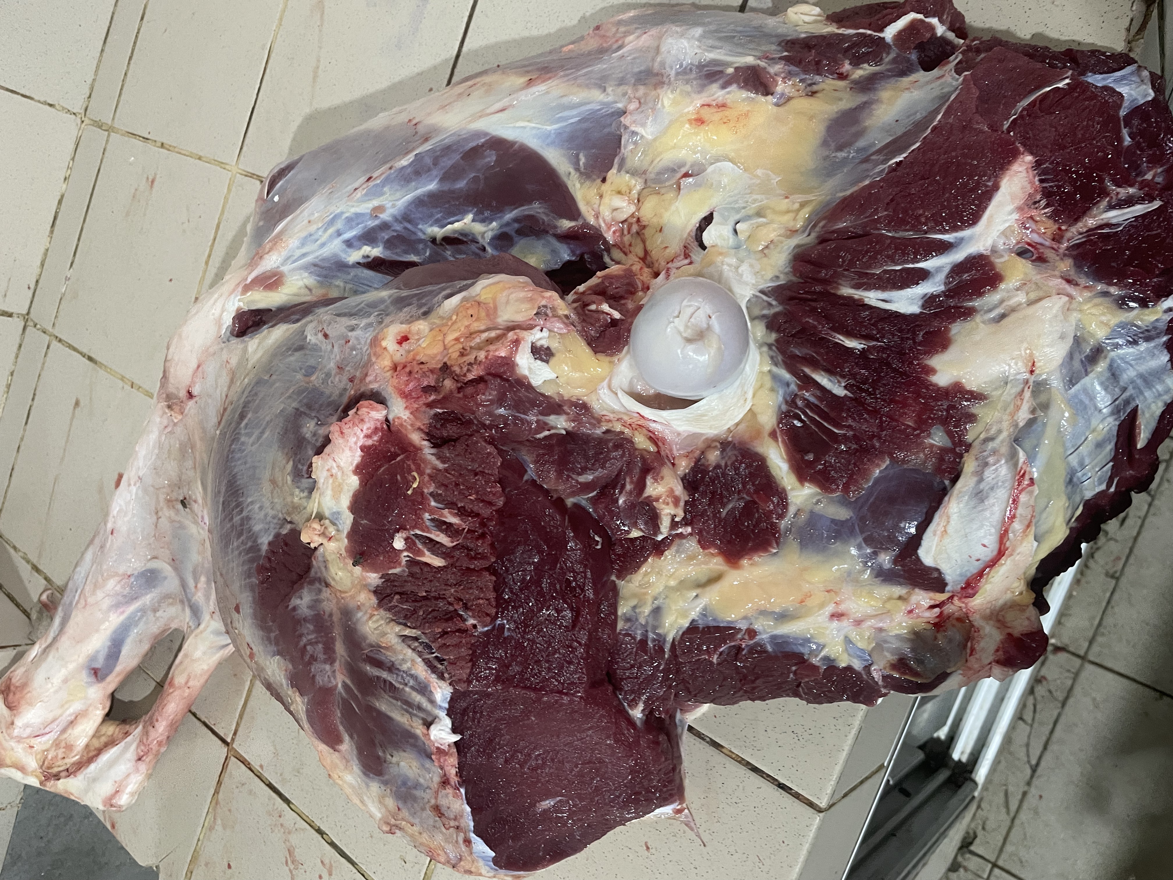 Viande de bœuf sans os