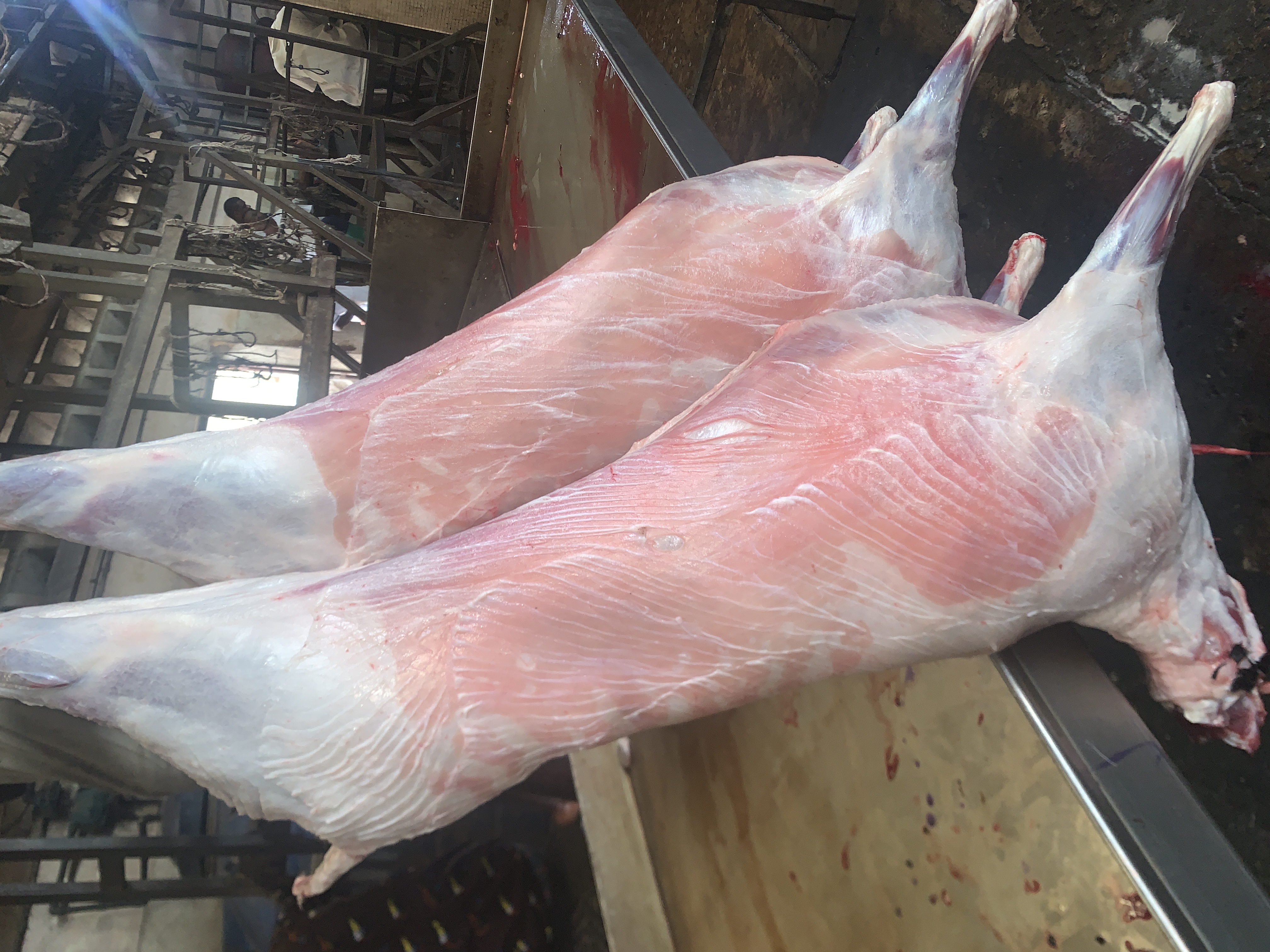 Viande de Mouton (Kilo)